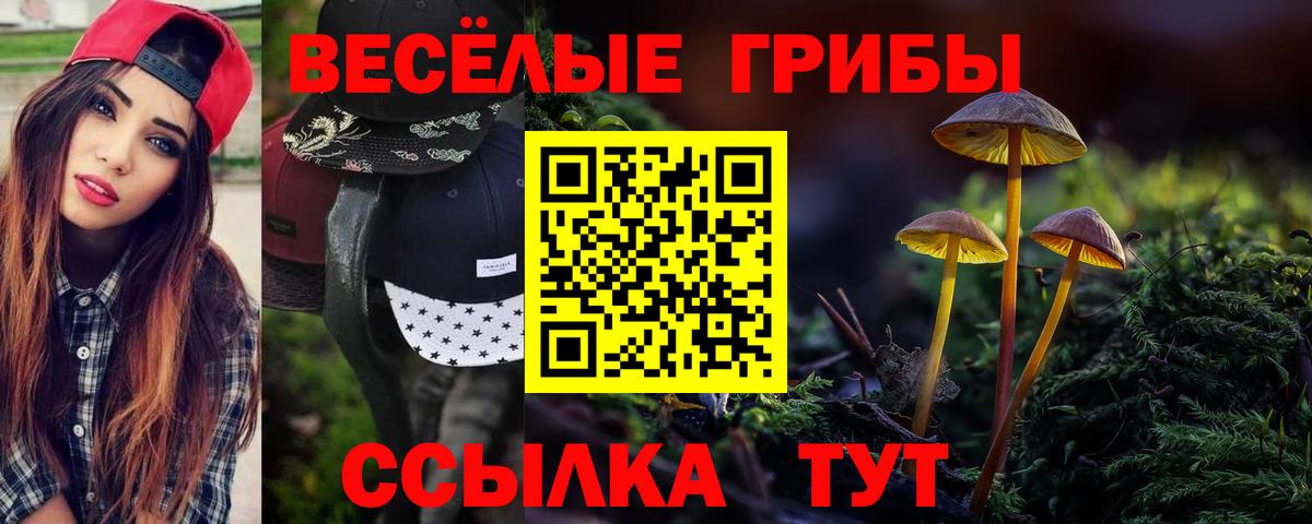 Галлюциногенные грибы ЛСД Азов