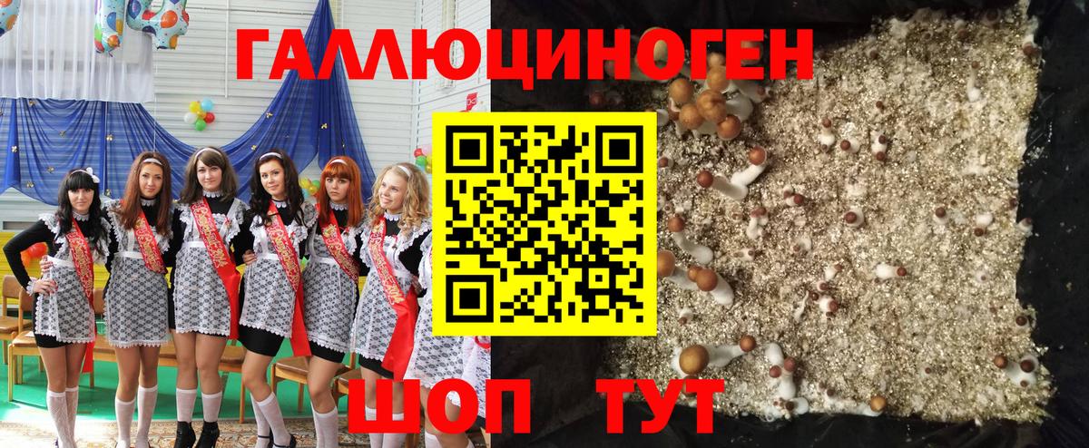 Псилоцибиновые грибы Psilocybine cubensis  Вход с VPN  Азов 